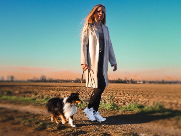 Social Walk Hunde in Jöhlingen Gruppenspaziergang